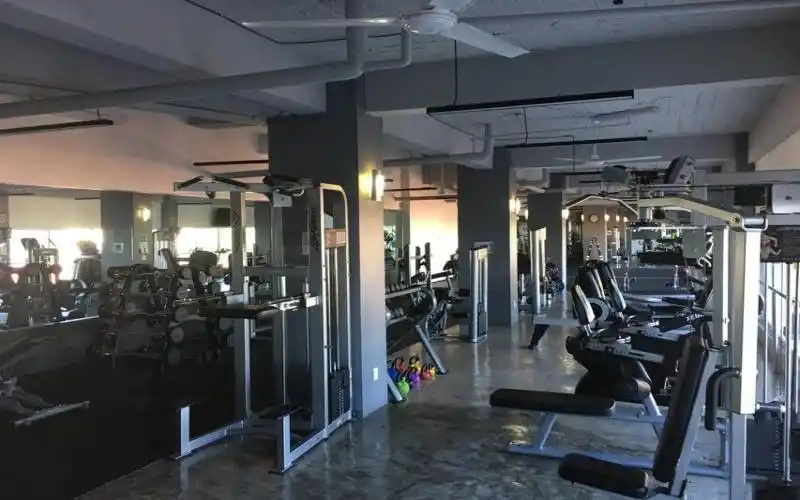 GYM