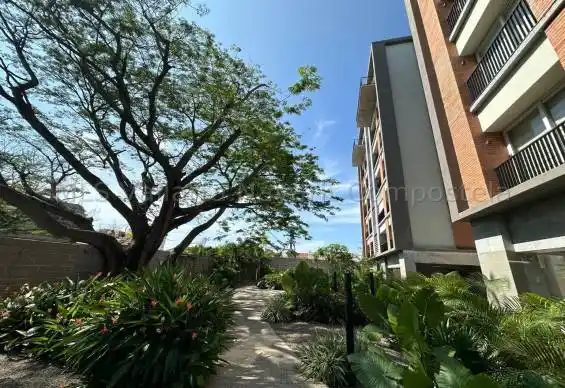 Distrito Coral Common areas
