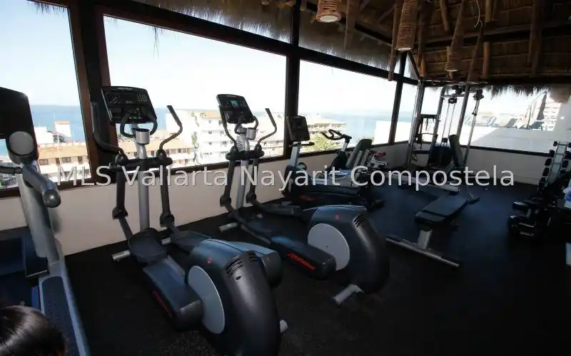 NLS GYM