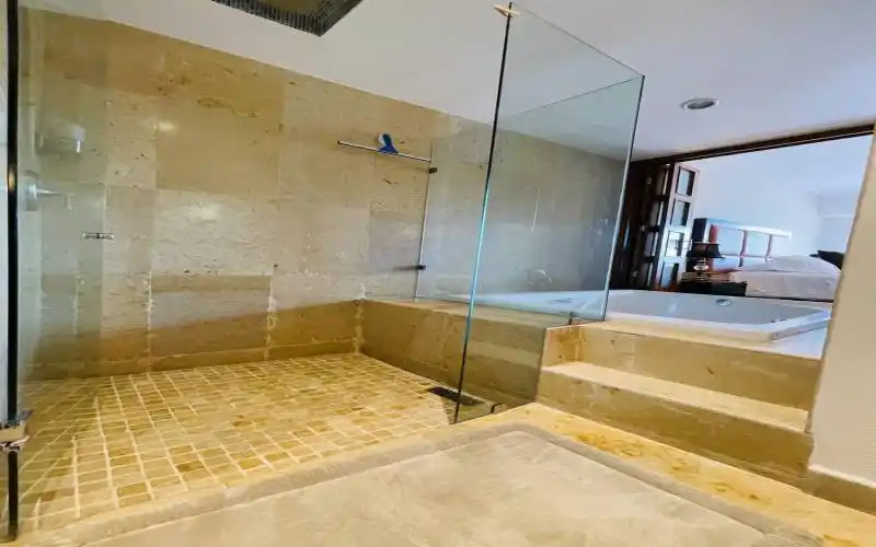 Master tub & shower