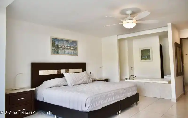 Master Bedroom w/ Jacuzzi