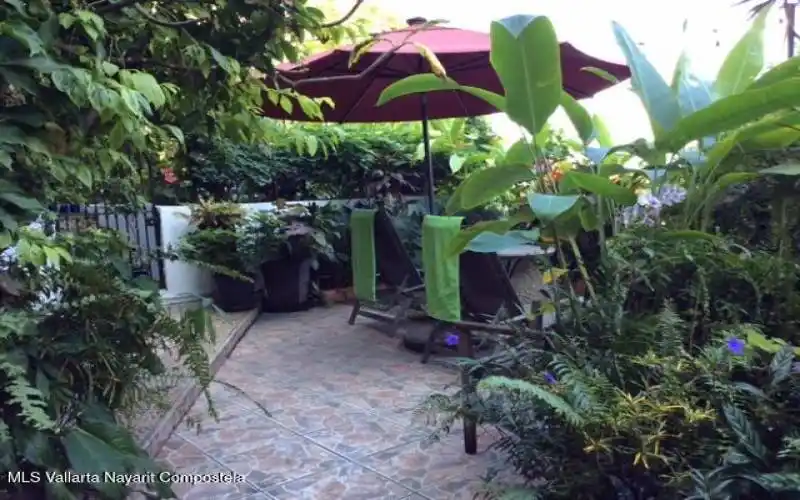 Pool patio area