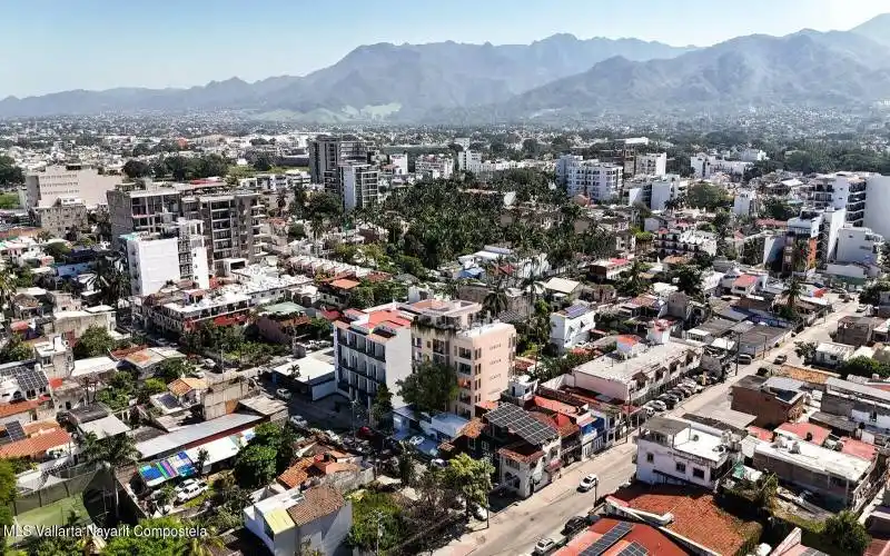 ceiba madre 1