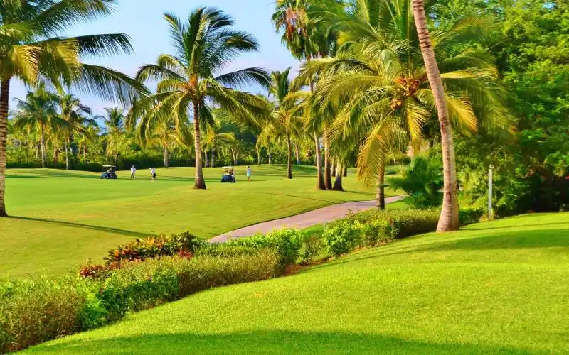 Vidanta-Mayan Golf course