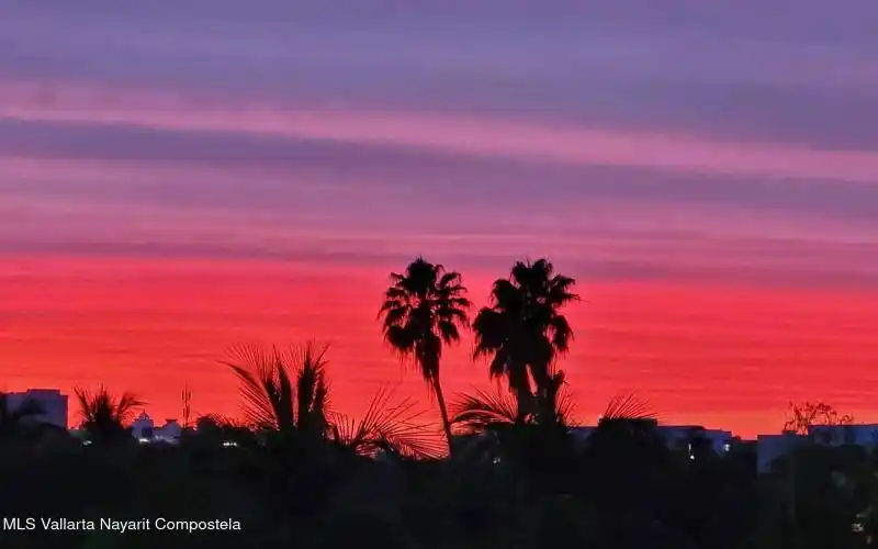 Adobe Express - file (1)