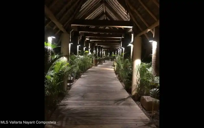 Adobe Express - file