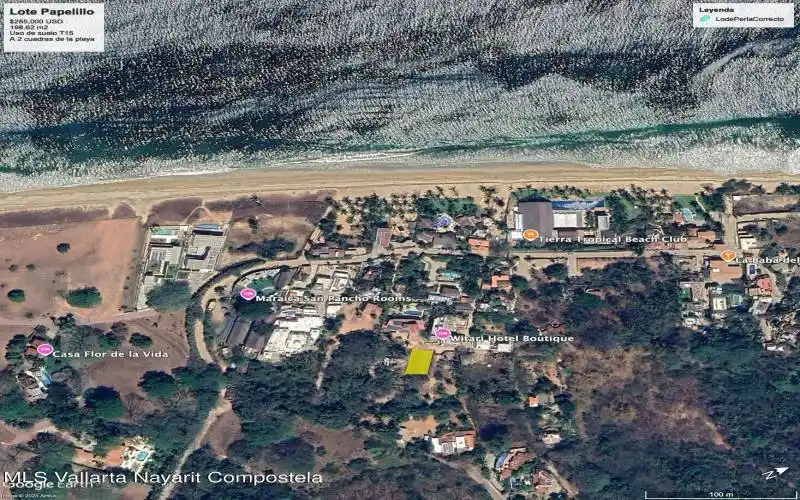 LOTE PAPELILLO - Earth 1
