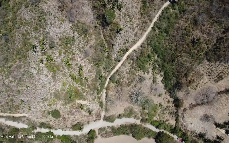 DJI_0199
