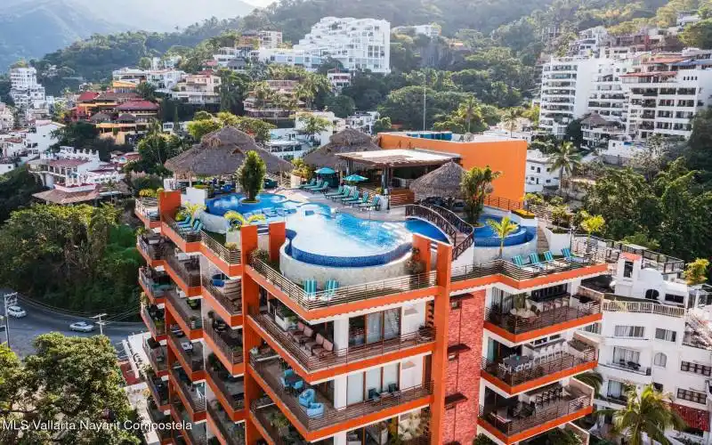 Rooftop bar & pool