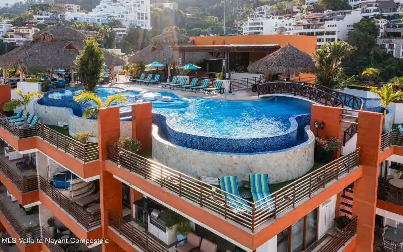 Rooftop bar & pool