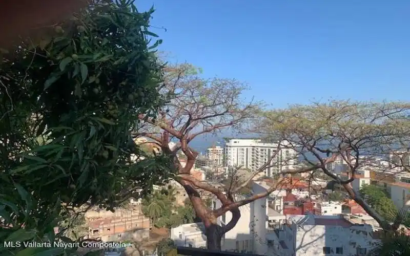 Alta Vista