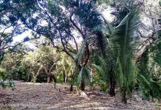 lot view