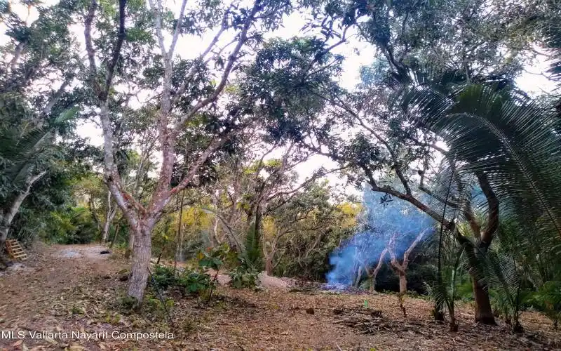 lot view