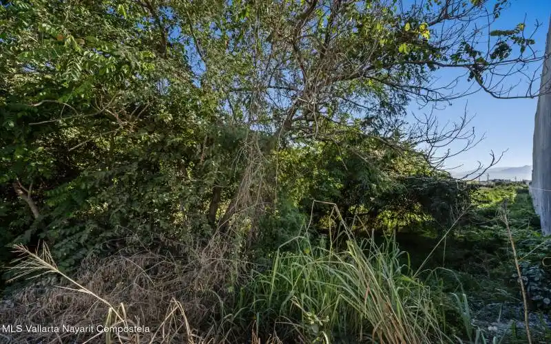DSC05728