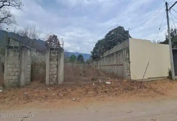 vista frontal