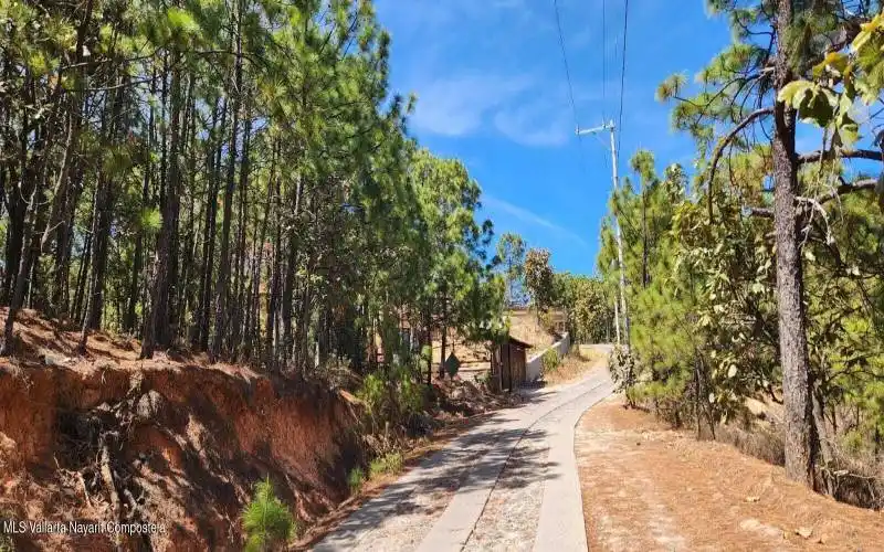 CARRETERA DE ACCESO