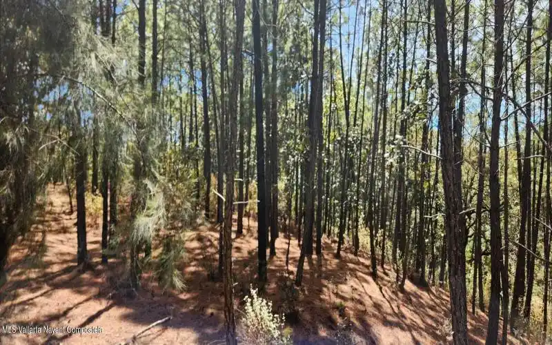 VISTA 1