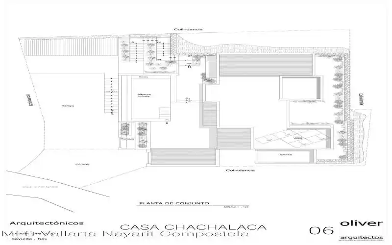06 Chachalaca Planta de Conjunto