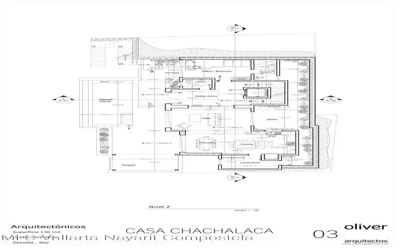 03 Chachalaca N-2
