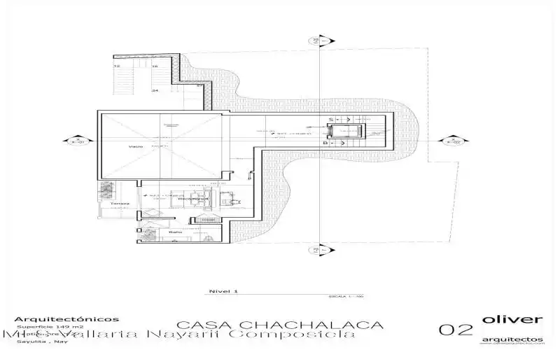 02 Chachalaca N-1 (2)