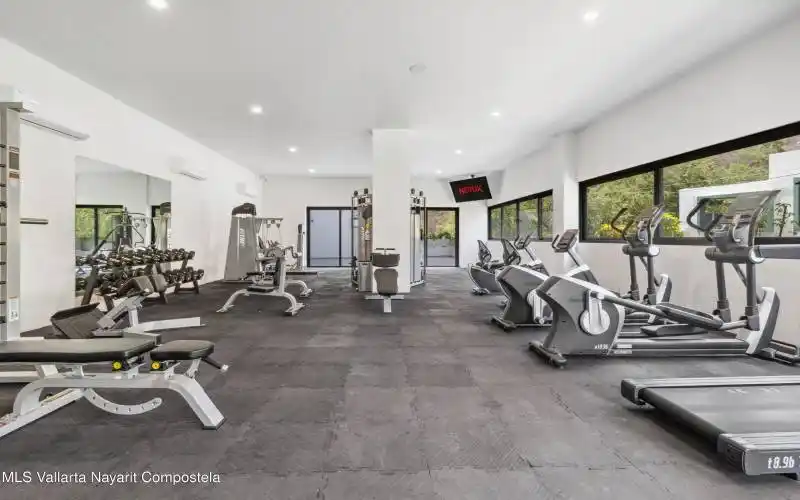 Gym
