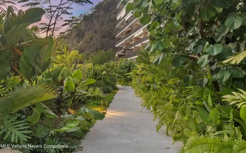 Jungle Walk