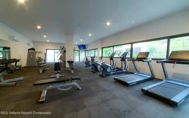 OASIS - GYM