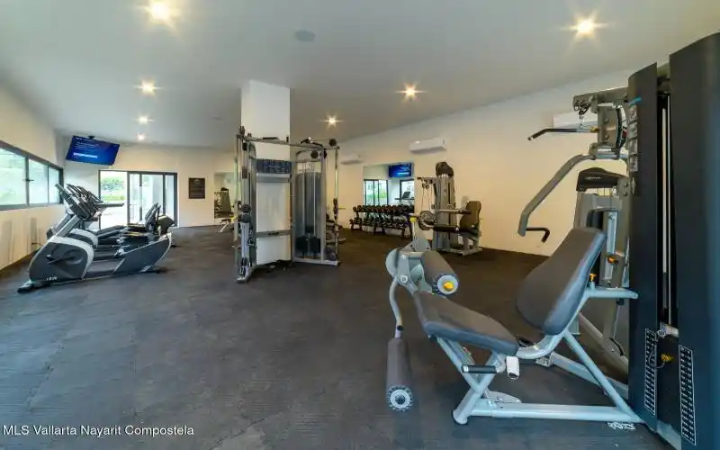 OASIS - GYM