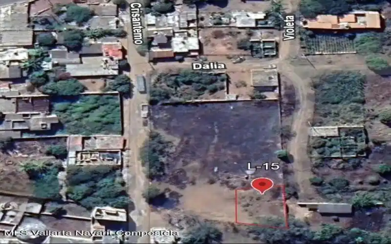 top view