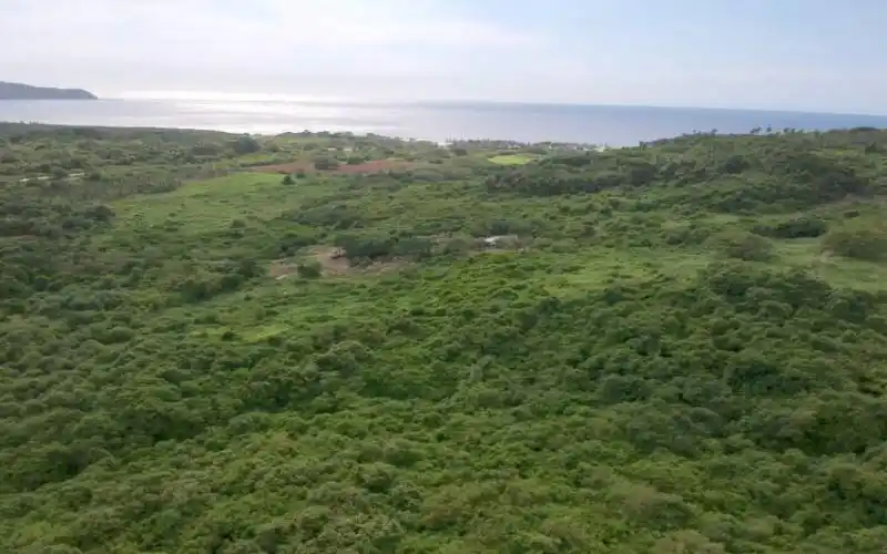 Litibu_Punta_Mita1-1