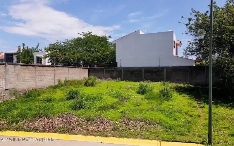 FRONDA POLIGONO SM-02