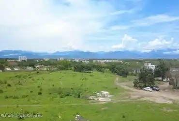 Panoramic