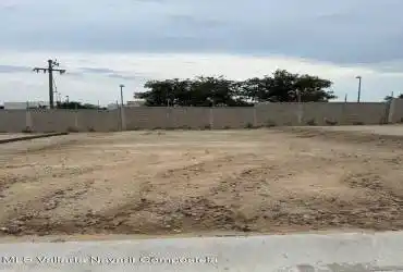 Lote 33