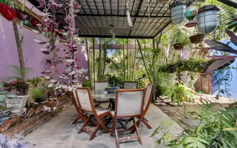 Duena_BackGarden