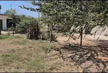 LOTE QUETZAL