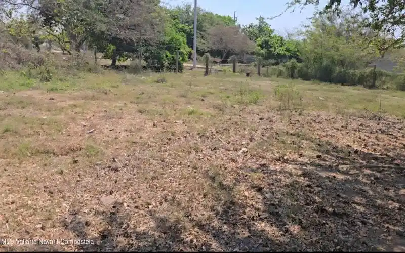 LOTE QUETZAL B