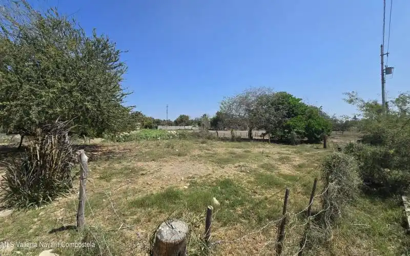 LOTE QUETZAL C
