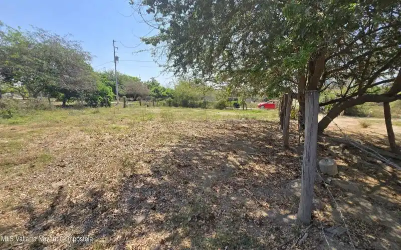 LOTE QUETZAL D