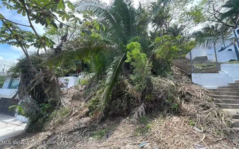 lot on left side of seapal