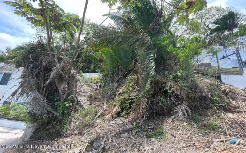 lot on left side of seapal