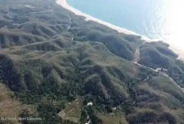 Parcela Naranjitos