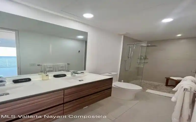 MAster Bath 2
