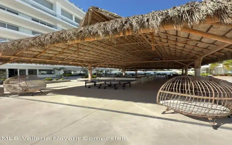 PALAPA