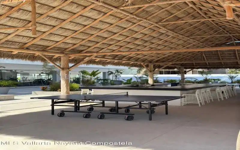 PALAPA