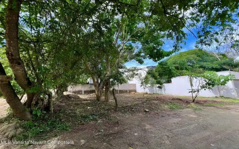 Lot_Mango_For_Sale_Sayulita_6