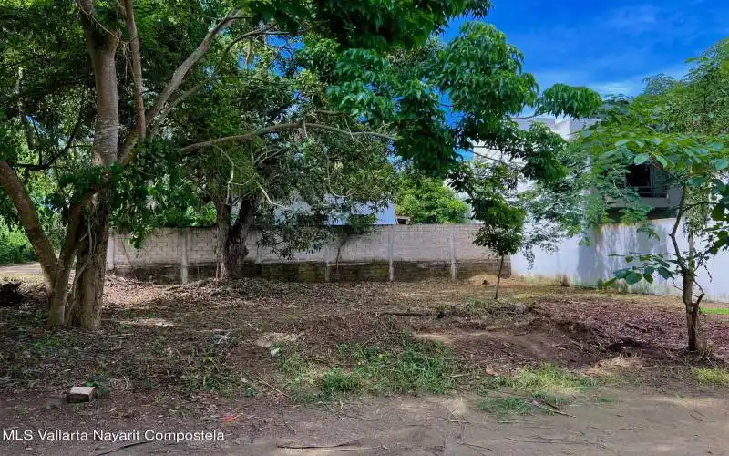 Lot_Mango_For_Sale_Sayulita_5