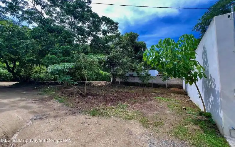 Lot_Mango_For_Sale_Sayulita_4