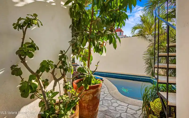 vista pool