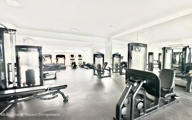 gym 3