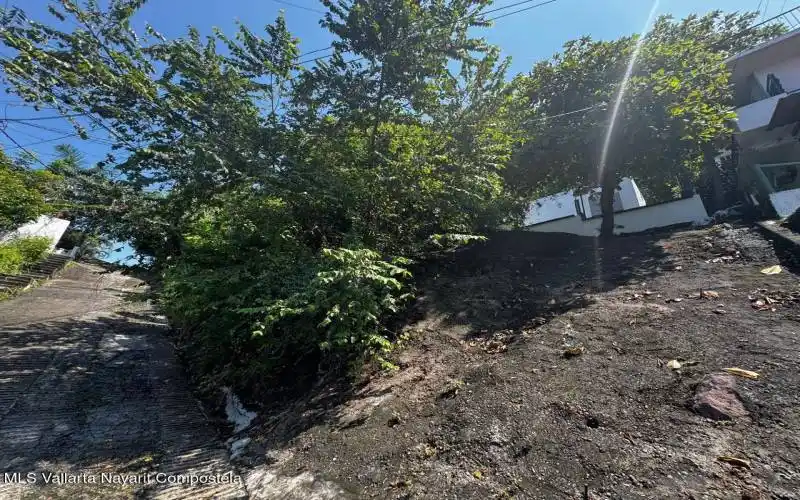 Terreno1